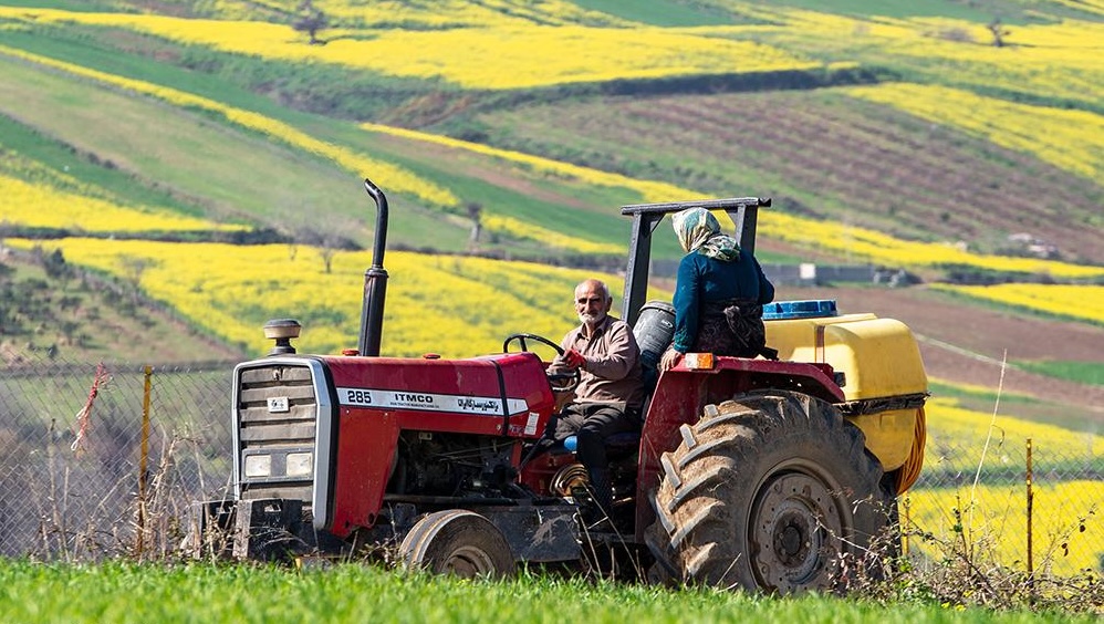 واردات مشروط دانه‌های روغنی؛ گامی به سوی خودکفایی یا چالشی برای واردکنندگان؟